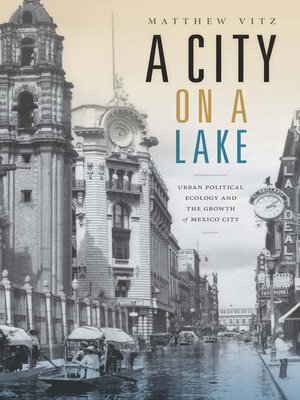 cover image of A City on a Lake